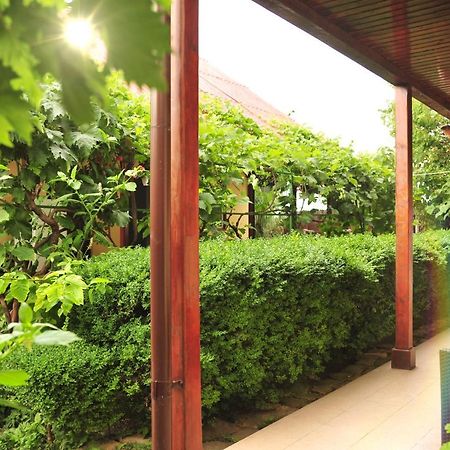 Casa Boby Hotel Murighiol Exterior photo